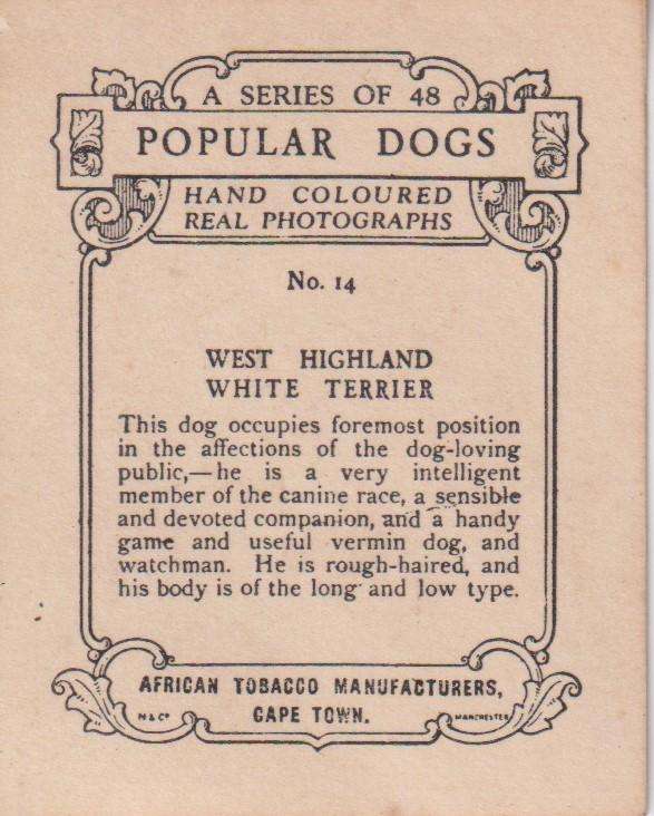 Cigarette Card Popular Dogs No. 48