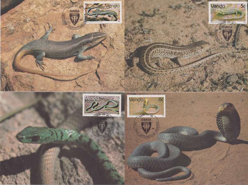 Maxi Card Set of 17 1986 Reptiles