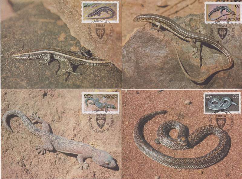 Maxi Card Set of 17 1986 Reptiles