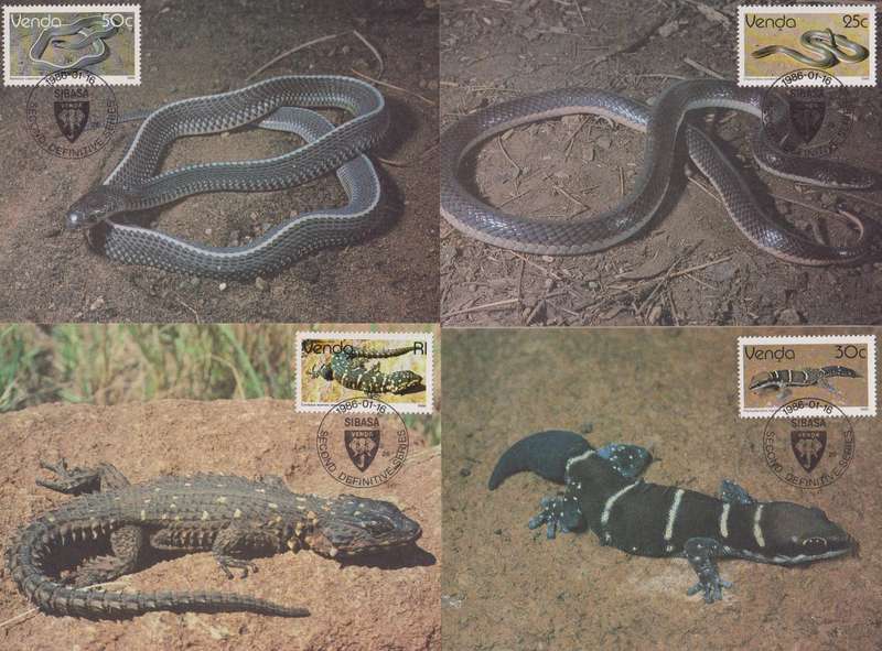 Maxi Card Set of 17 1986 Reptiles