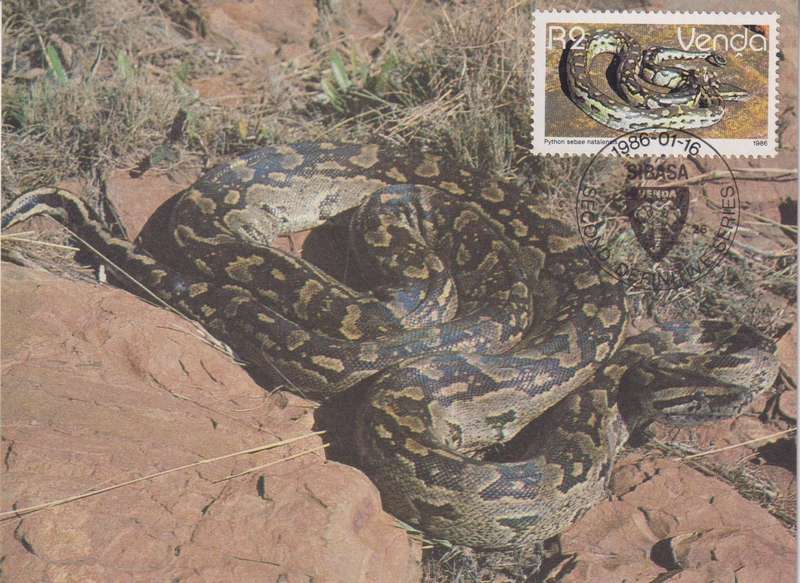 Maxi Card Set of 17 1986 Reptiles
