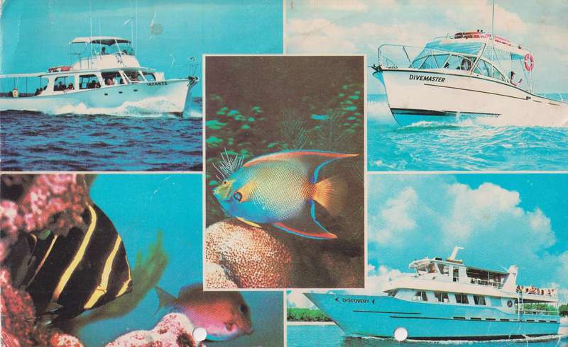 Post Card A5