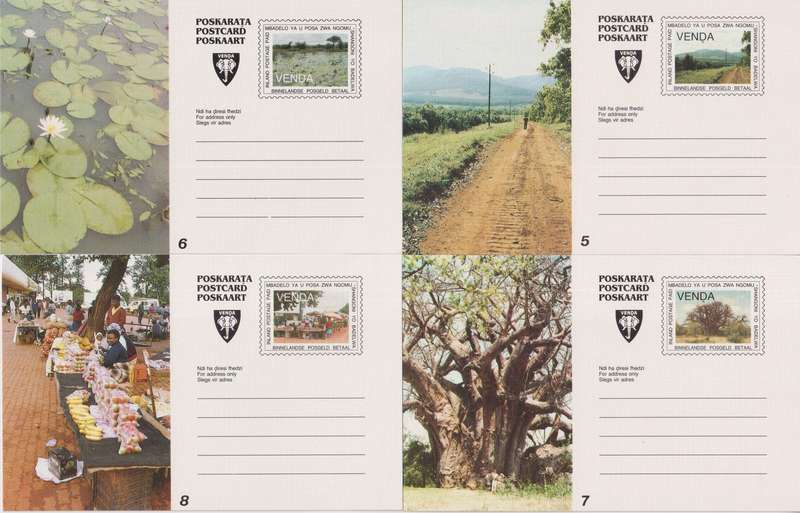 Maxi Cards Venda Set of 8