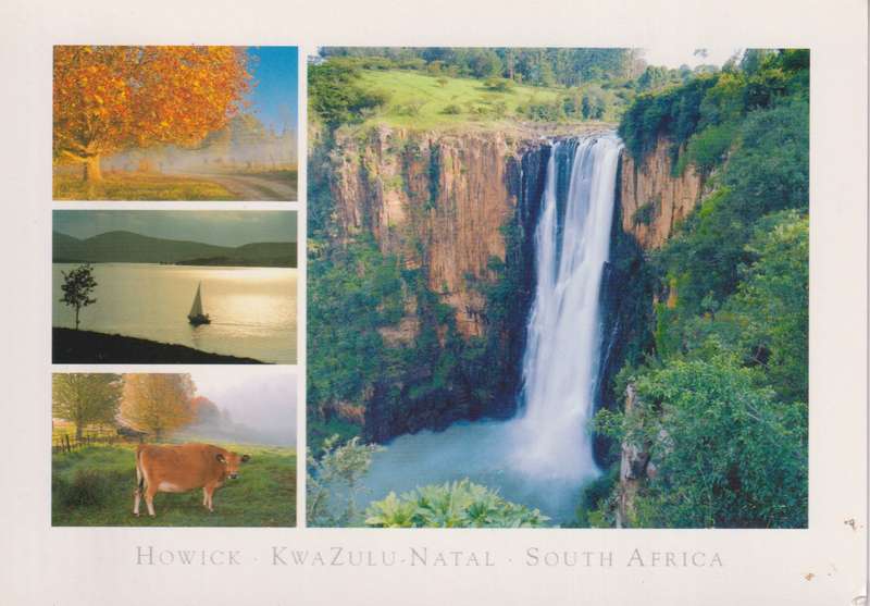Post Cards / Maxi Card not used