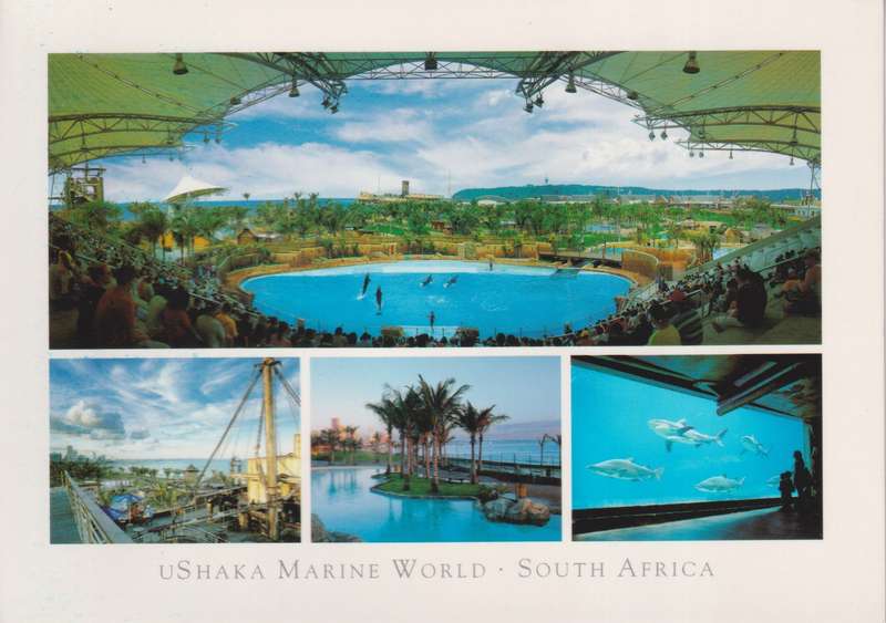 Post Cards / Maxi Card not used