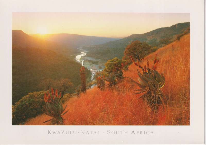 Post Cards / Maxi Card not used