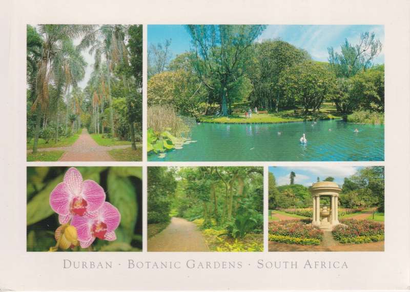 Post Cards / Maxi Card not used