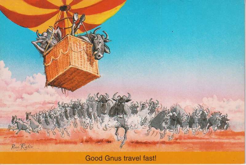 Post Cards / Maxi Card not used