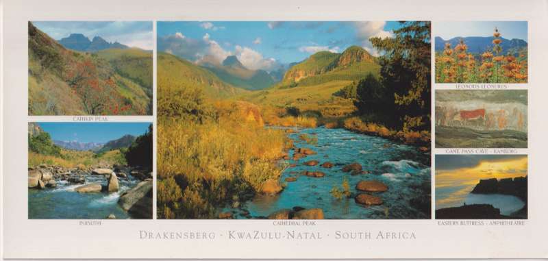 Post Cards / Maxi Card not used