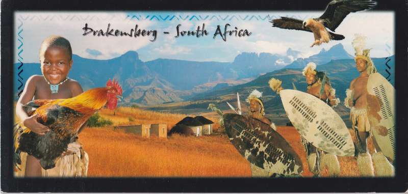 Post Cards / Maxi Card not used