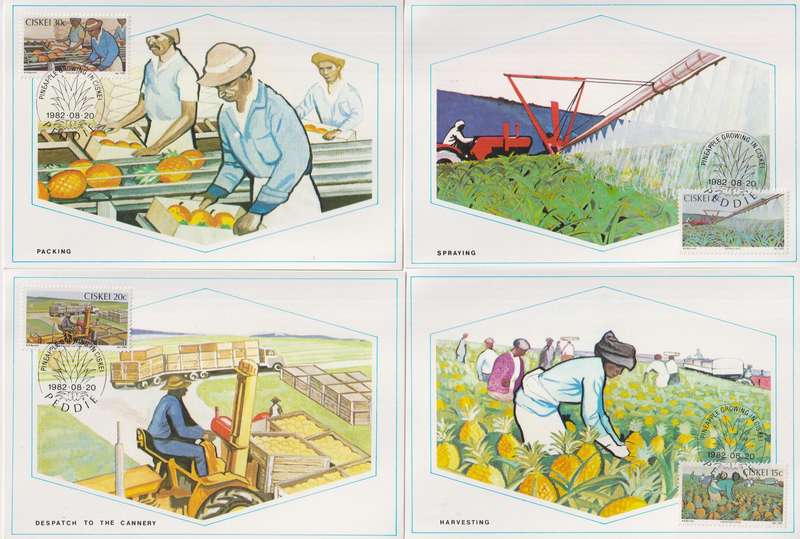 Maxi Card Set of 4 Limited addition 1982 Pineapple Industry