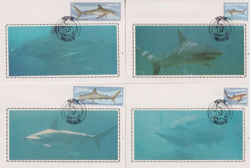 Maxi Card Set of 5 Limited addition 1983 Sharks