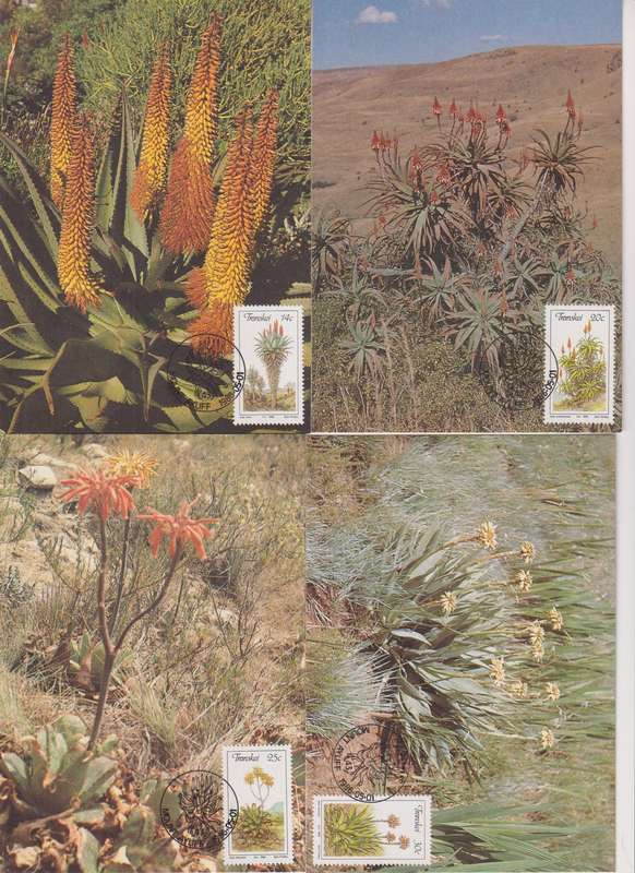 Maxi Card Set of 4 1986 Aloes (Bid per pack to take all)