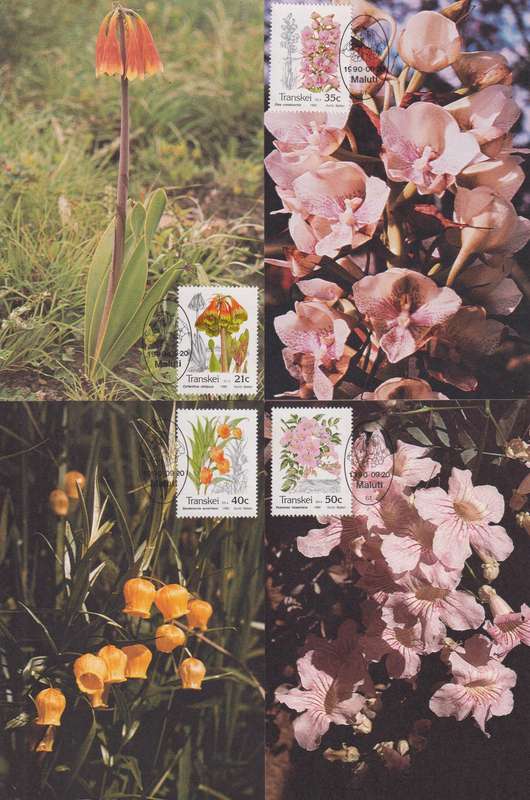 Maxi Card Set of 4 1990 Plants (Bid per pack to take all)