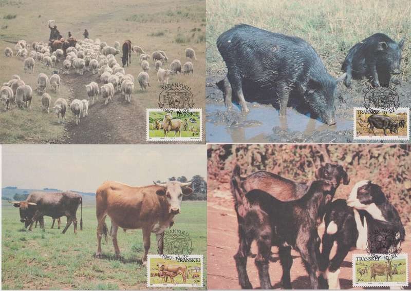 Maxi Card Set of 4 1987 Domestic Animals (Bid per pack to take all)