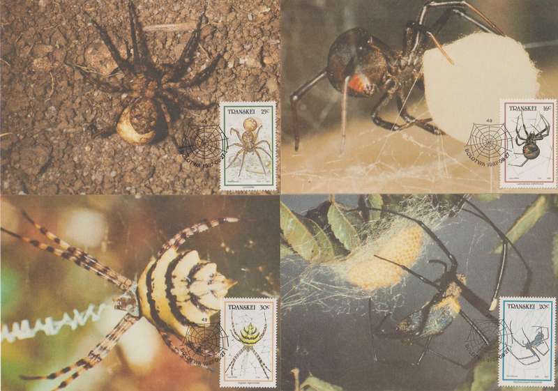 Maxi Card Set of 4 1987 Spiders (Bid per pack to take all)