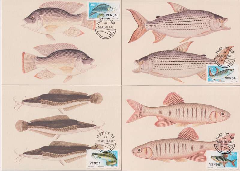 Maxi Card Set of 4 1987 Freshwater Fish (Bid per pack to take all)