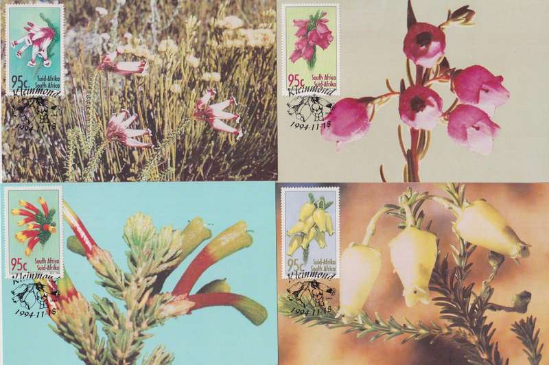 Maxi Card Set of 5 1994 Flowers (Bid per pack to take all)