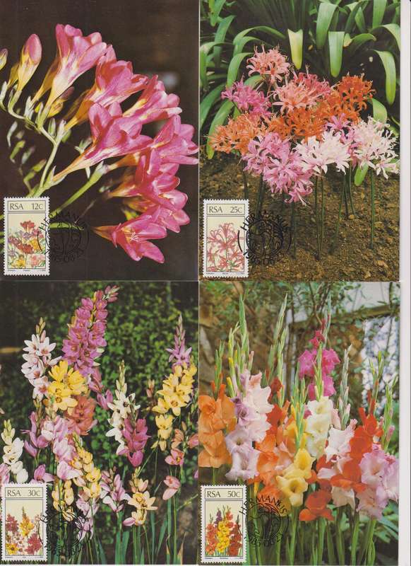 Maxi Card Set of 4 1985 Floral Emigrants (Bid per pack to take all)