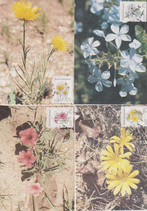 Maxi Card Set of 4 1987 Wild Flowers (Bid per pack to take all)