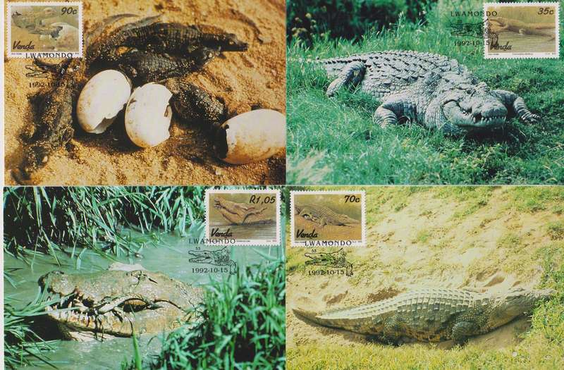 Maxi Card Set of 4 1992 Crocodile Farming (Bid per pack to take all)