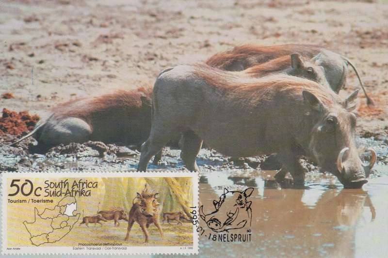 Maxi Card 1995 Tourism