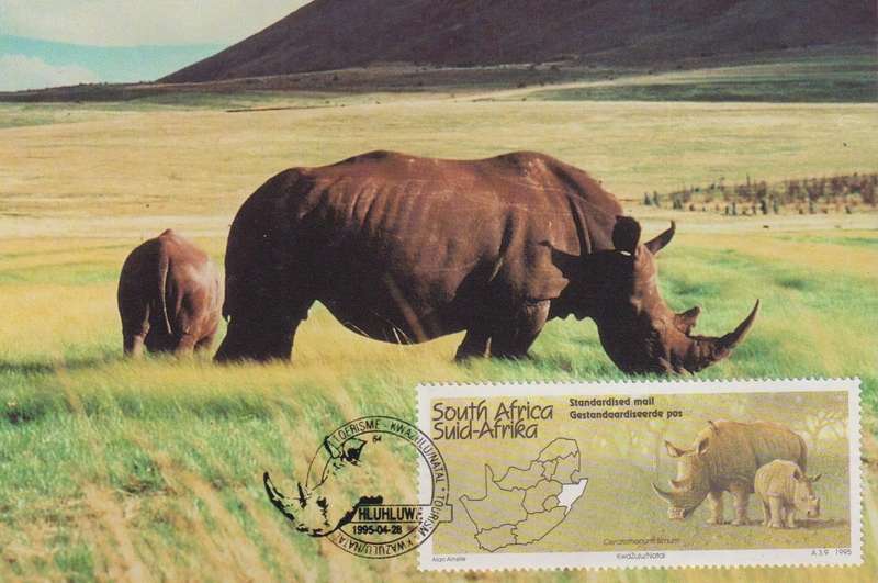 Maxi Card 1995 Tourism