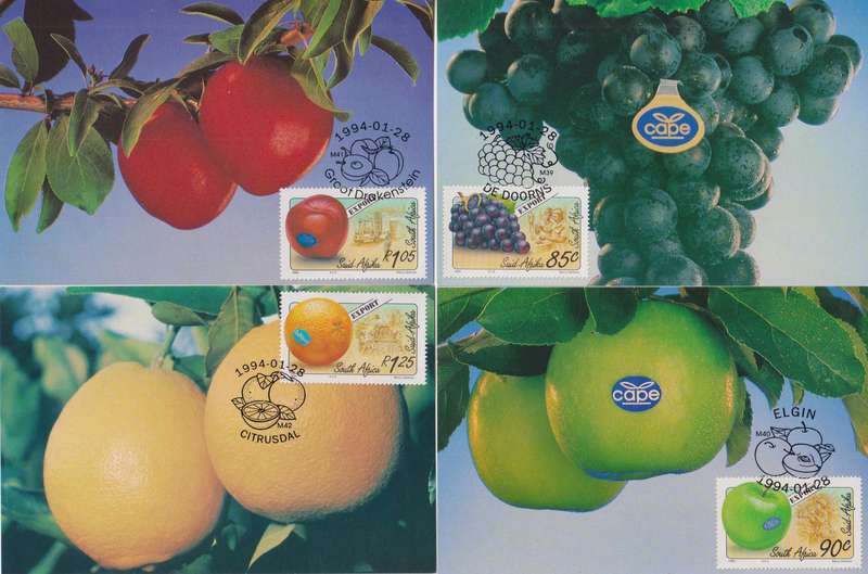 Maxi Card 1994 Export Fruits