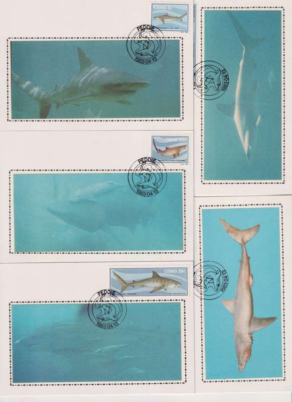 Silk Maxi Card Limited Edition 1983 Sharks 446/600