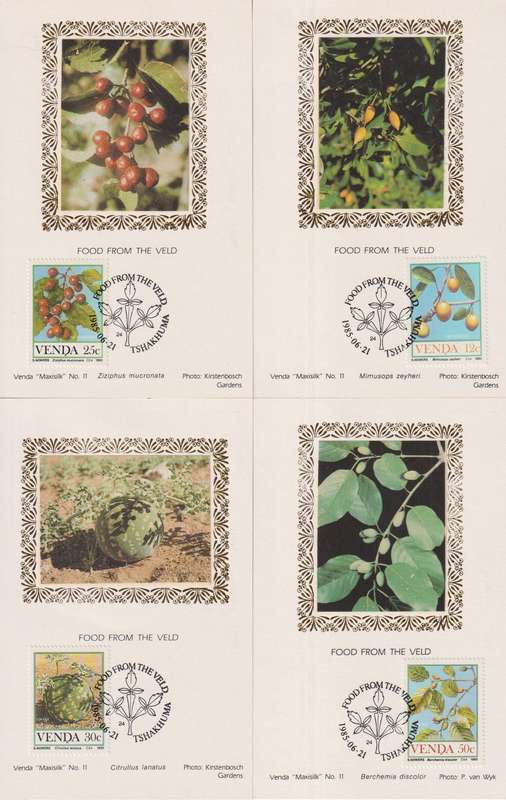 Silk Maxi Card Limited Edition 1985 Fruits 129/500