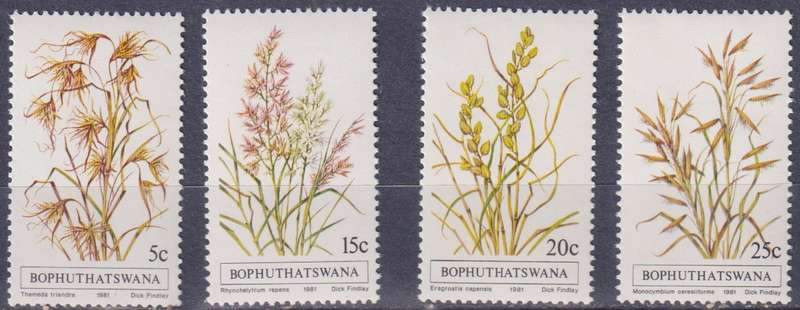 Stamps Bophuthatswana 1981 Indigenous Grasses