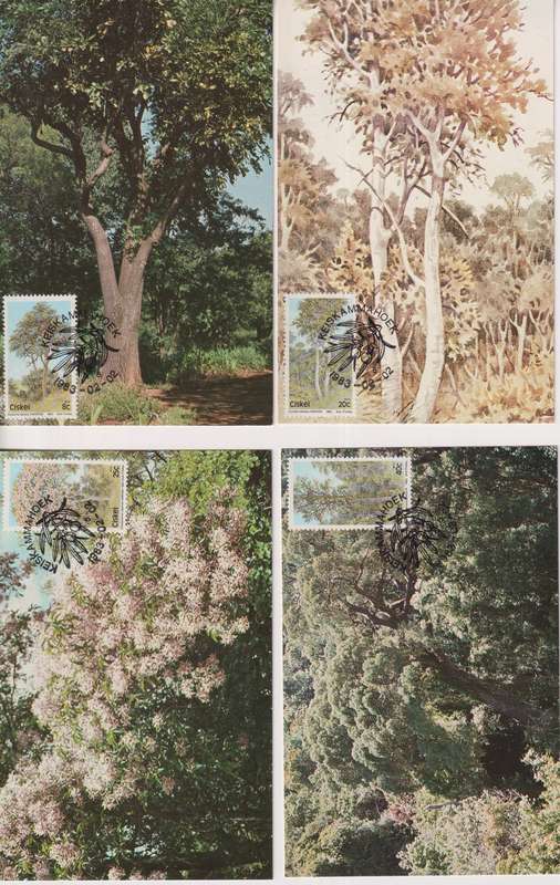Maxi Card Set of 4 Limited addition 1983 Flora - Trees