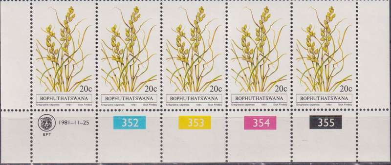 Stamps Control Blocks 1981 Indigenous Grasses