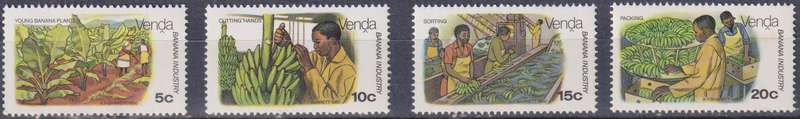 Stamps Venda 1980 Banana Cultivation