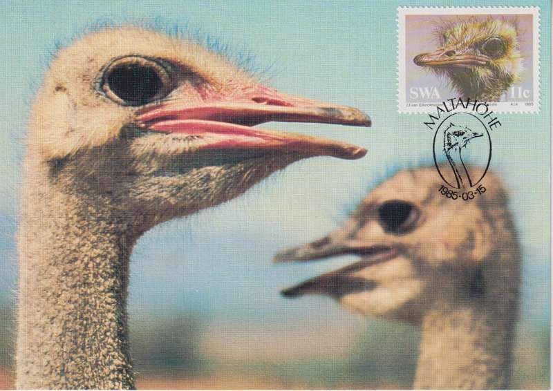 Post Cards / Maxi Card Not used