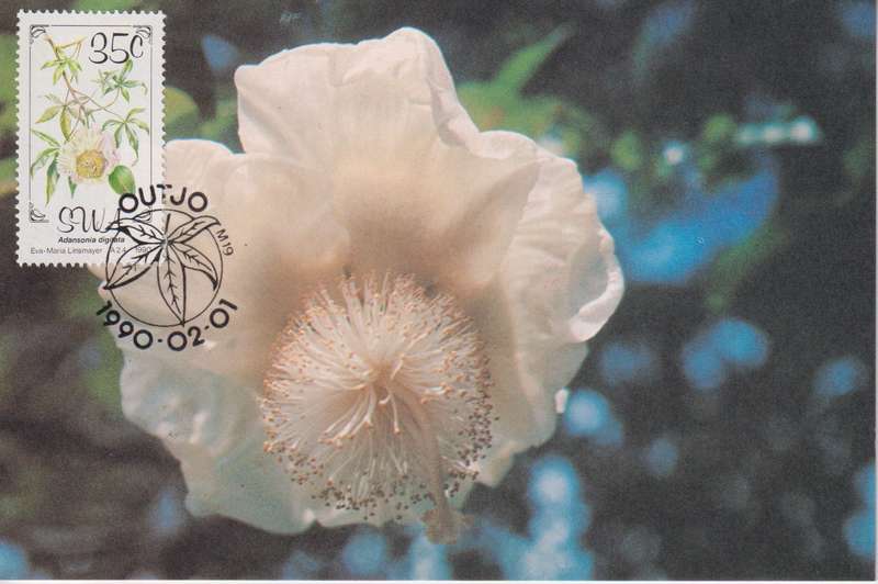Post Cards / Maxi Card Not used