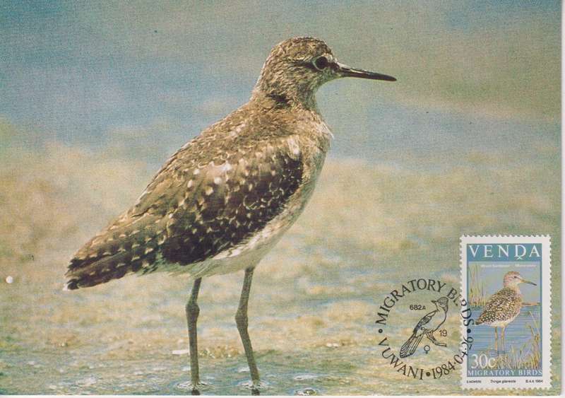 Post Cards / Maxi Card Not used
