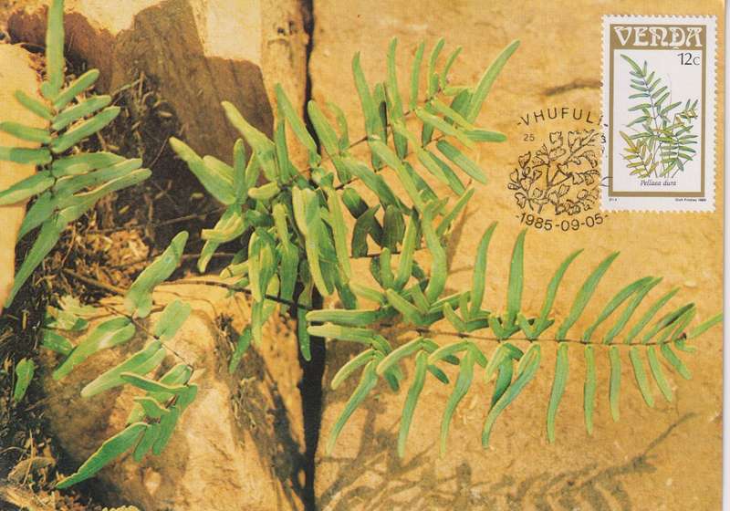 Post Cards / Maxi Card Not used