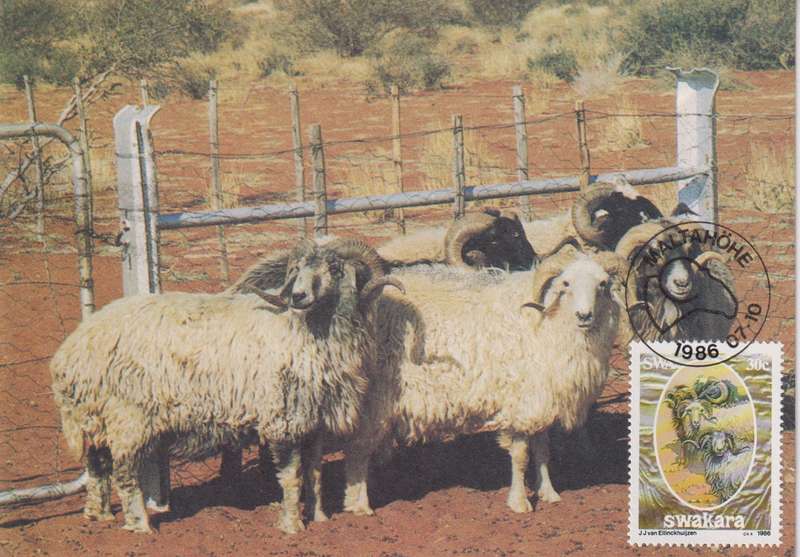 Post Cards / Maxi Card Not used