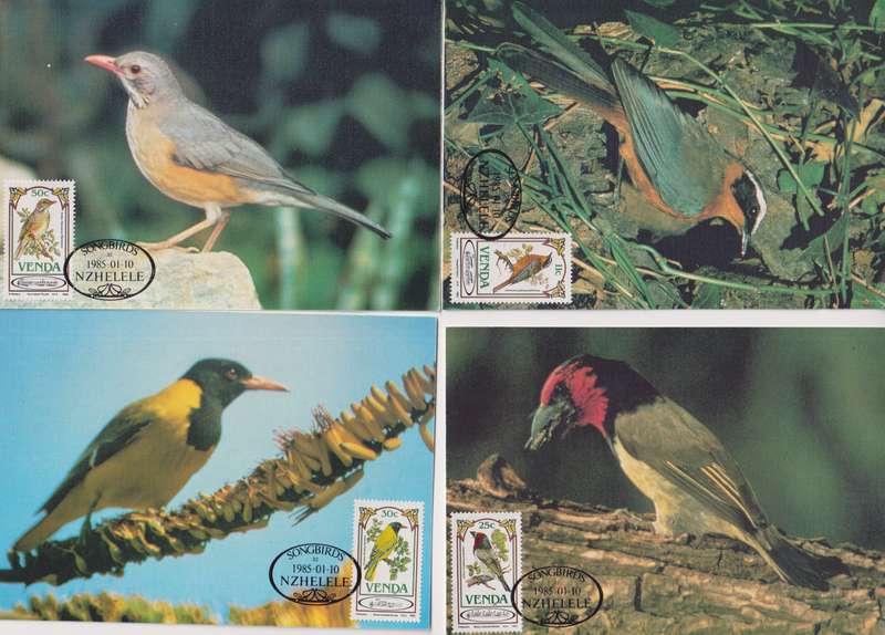 Maxi Cards / Post Cards Set Of 4