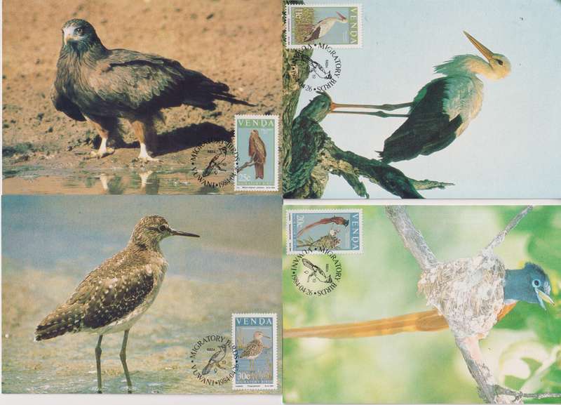 Maxi Cards / Post Cards Set Of 4