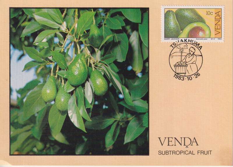 Post Cards / Maxi Card Not used