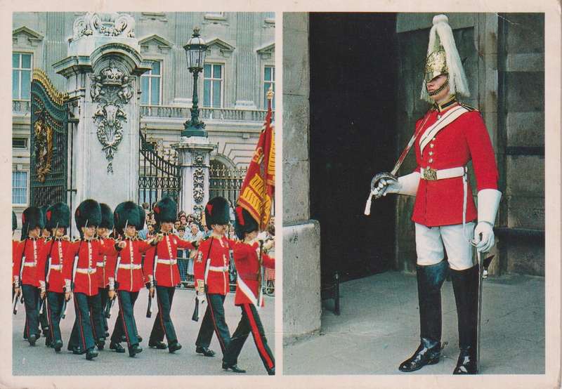 Post Cards / Maxi Card