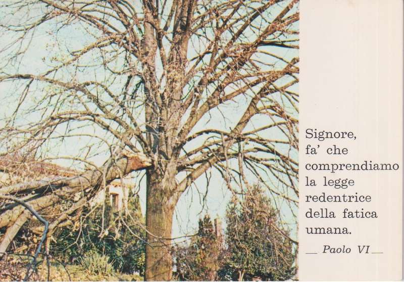 Post Cards / Maxi Card