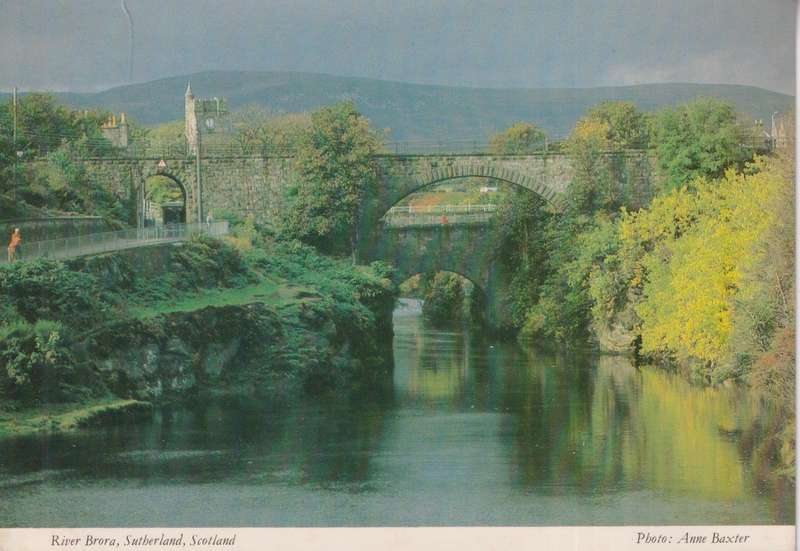 Post Cards / Maxi Card