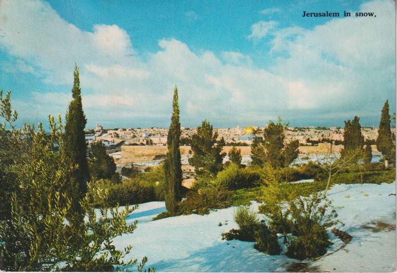 Post Cards / Maxi Card