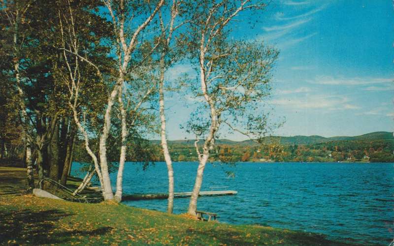 Post Cards / Maxi Card