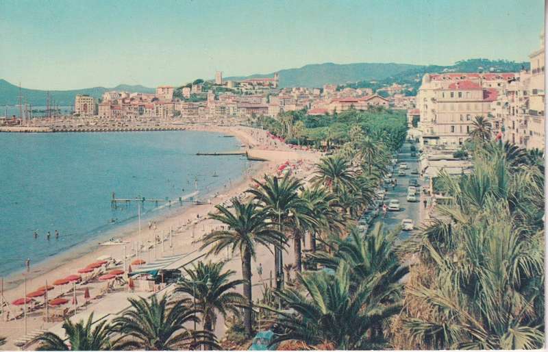 Post Cards / Maxi Card