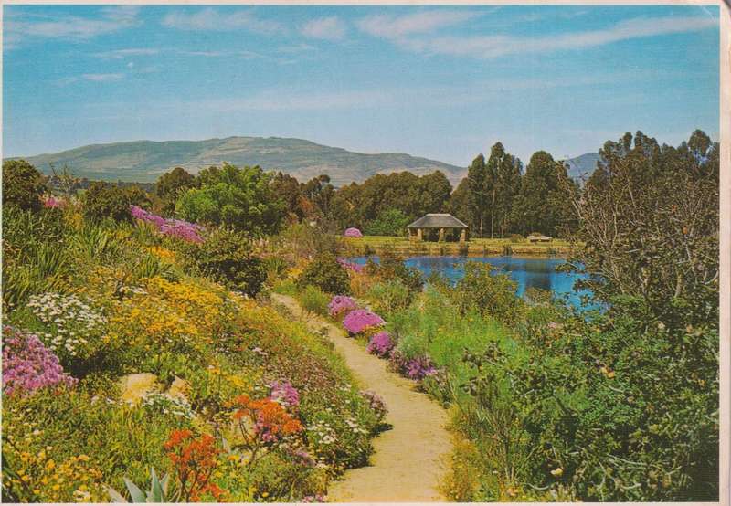 Post Cards / Maxi Card