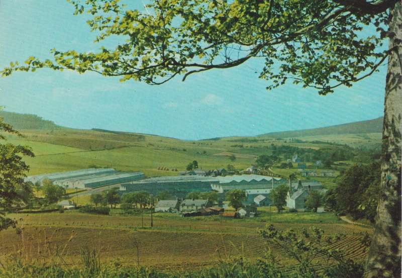 Post Cards / Maxi Card